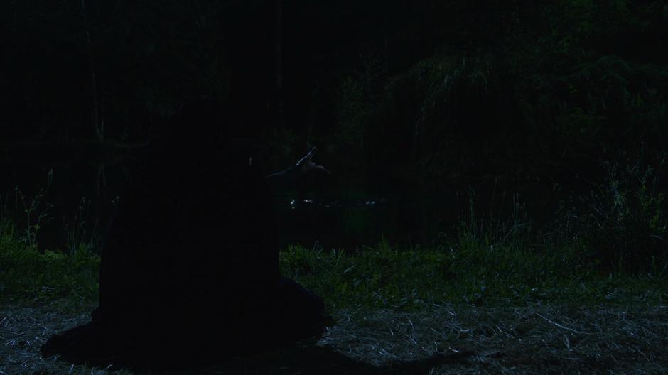 A hooded figure casts some sort of spell beside a small pond.