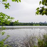 Photograph of Deer Lake Park.