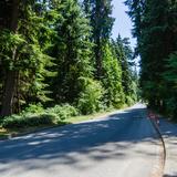 Photograph of Pipeline Road (south segment).