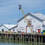 Photograph of Canadian Fishing Co..