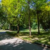 Photograph of Woods near Aquarium.