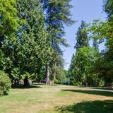 Photograph of Stanley Park.