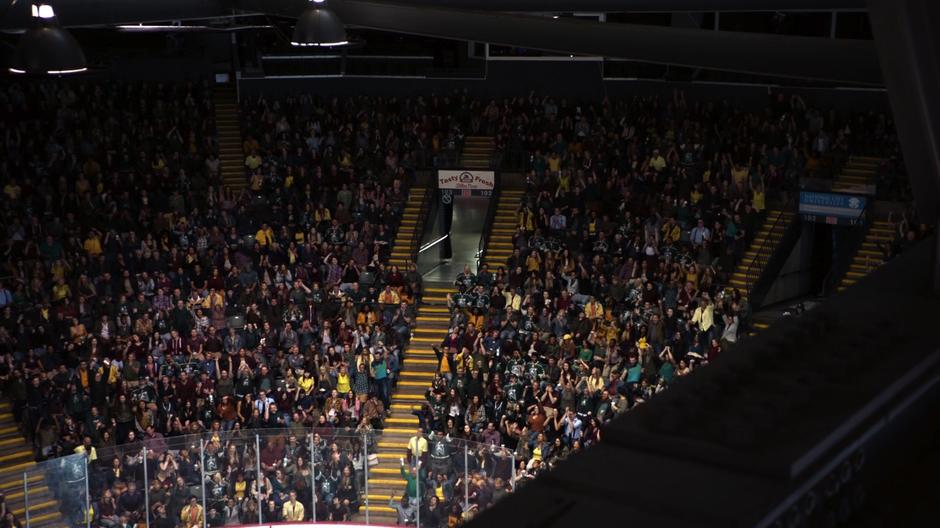 Fans watch the hockey game in the stadium.