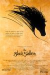 Poster for The Black Stallion.