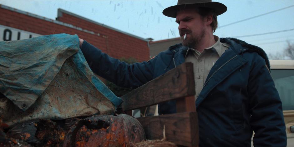 Hopper pulls up a tarp on the back of a truck to see more dead pumpkins.