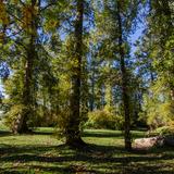 Photograph of Beach Grove Park.