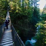 Photograph of Lynn Canyon Park.