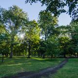 Photograph of Queen's Park.