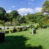 Photograph of Mt. Pleasant Cemetery.