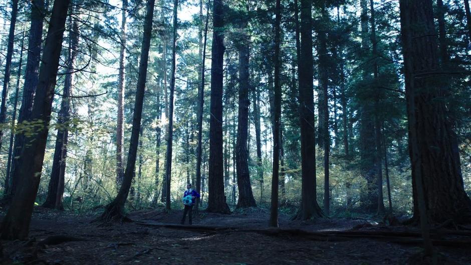 Young Stein looks around the forest after materializes with the Beebo toy.