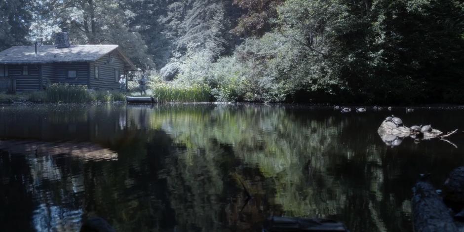 Several Faction members stand guard by a cabin across the pond.