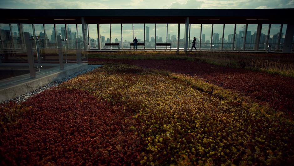 Mary walks through the rooftop garden to where Annie is waiting.