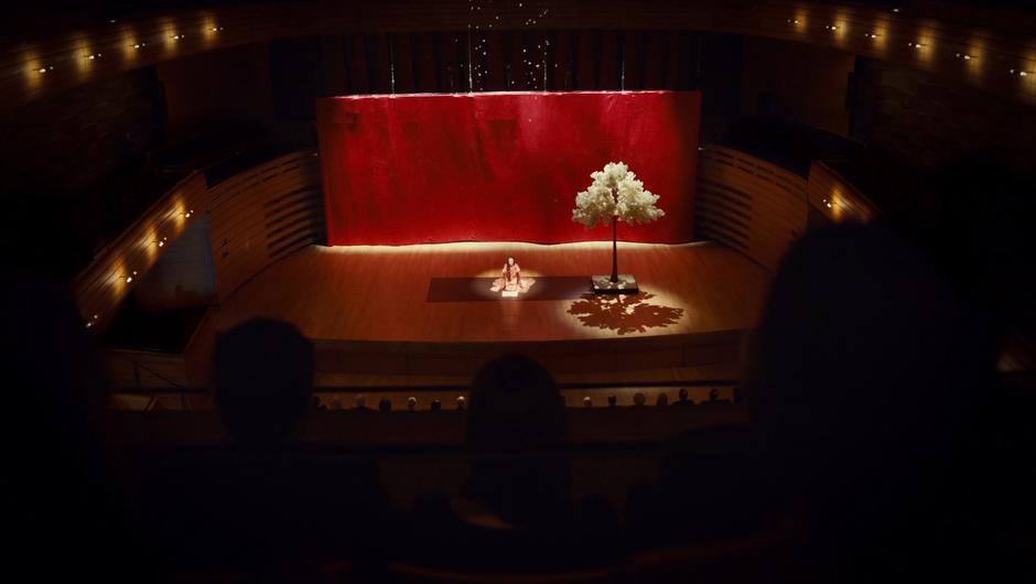 The audience watches one performer on stage during the finale of the opera.