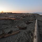 Photograph of Boundary Bay Regional Park.