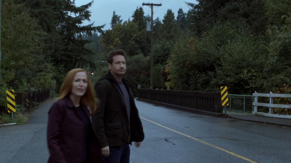 Scully and Mulder walk out on the road looking after the departing car.