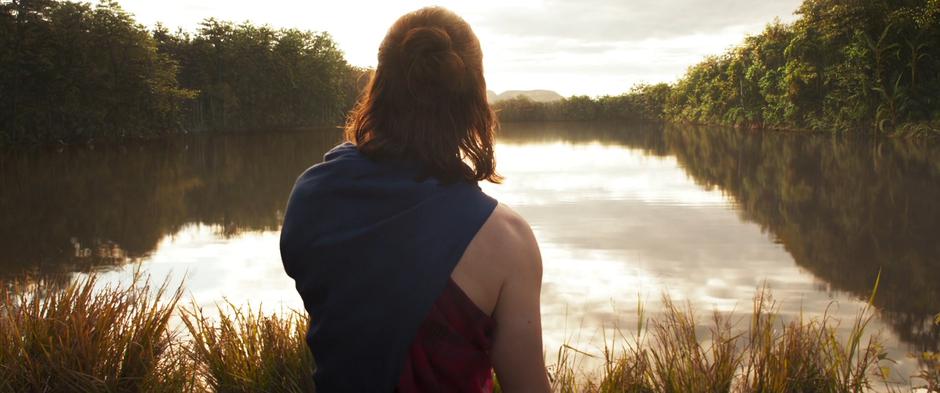 Bucky looks out over the river at the setting sun.