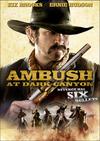 Poster for Ambush at Dark Canyon.