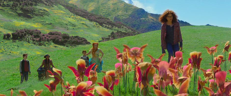 Meg walks over to the field of flowers while the others follow her over.