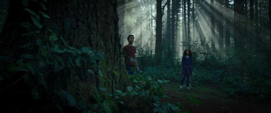 Calvin and Meg look around the strange forest that appeared around them.