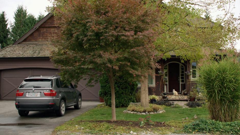 Establishing shot of a cat sitting on the porch.