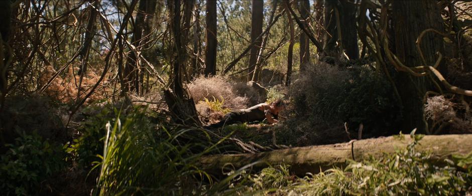 Lara lands on the ground after parachuting from the wreck above.