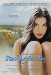 Poster for Stealing Beauty.