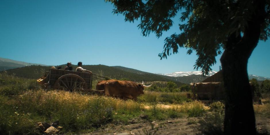 Prem drives his cart down the trail up to the farm house.