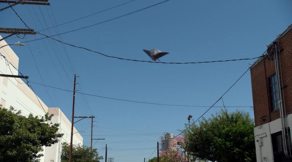 The drone pulls up to avoid following Alex's car.