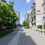 Photograph of Walter Hardwick Avenue (between Columbia & Manitoba).