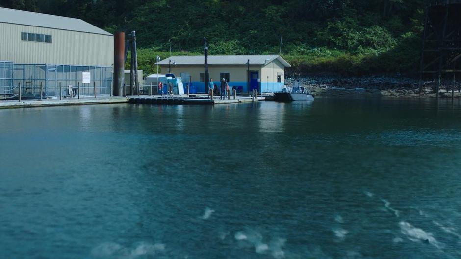 Maddie and Xander stand on the dock as the fish race towards the docks.