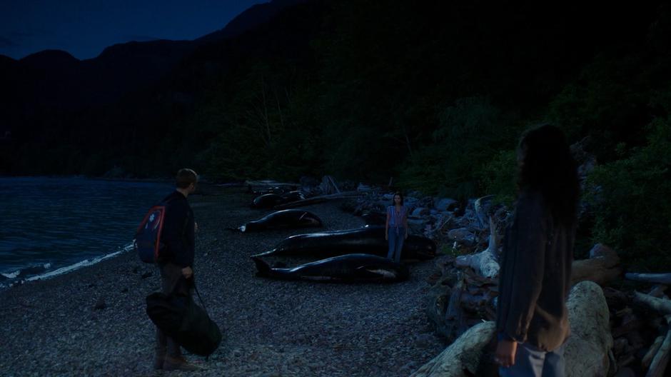 Ben, Ryn, and Maddie look at one another while several whales lie beached on the shore.