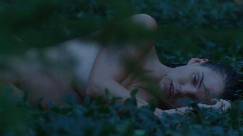 Ryn wakes up naked in the forest.