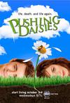 Poster for Pushing Daisies.