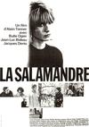 Poster for The Salamander.