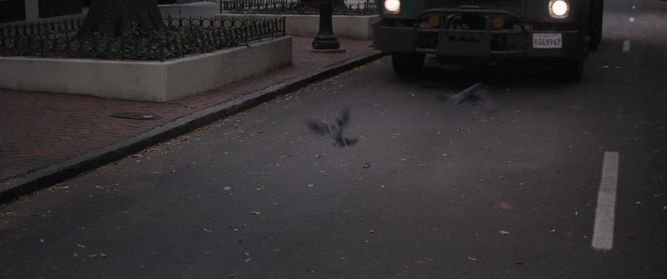 Pigeons fly off from the shrunken car just as a garbage truck pulls up on top of it.