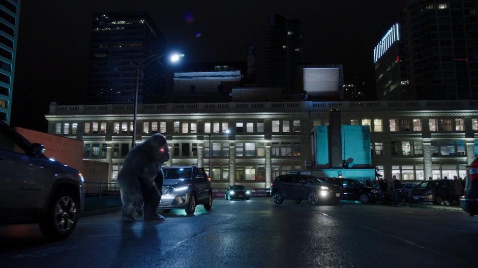 Cars swerve to a stop as Grodd jumps down onto the parking garage from the tower.