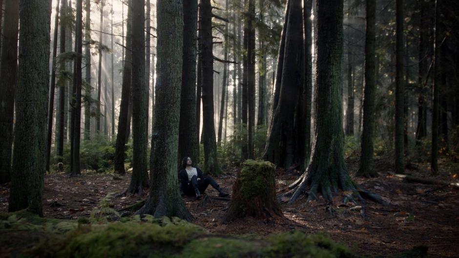 The monster leans against a tree trying to regain his senses while talking to his sister.