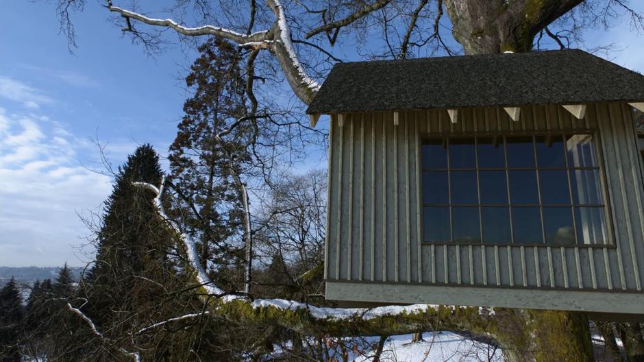 Lex & Lena's treehouse sits in a tall tree looking out over the landscape.