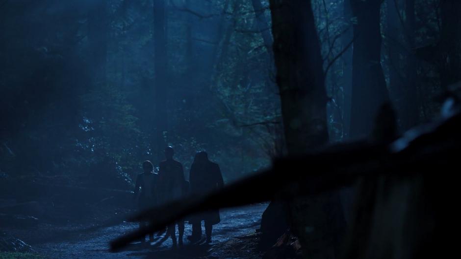 Nora, Barry, Cecille, Caitlin, and Joe walk through the dark forest searching for the Grace.