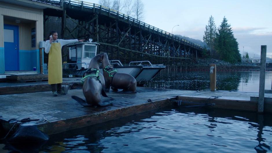 Maddie tells the two seals to go back into the water as she talks to Nicole on the phone.