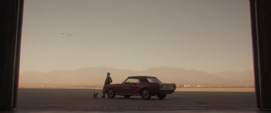 Dr. Lawson leans against her car and watches two planes fly overhead while Goose walks around her feet.