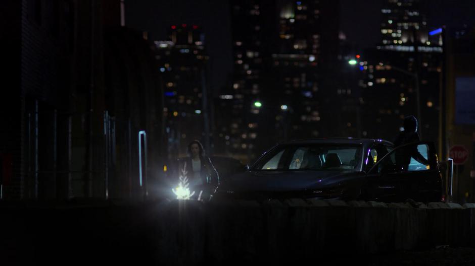 Jessica walks towards the fence with her flashlight while Trish climbs out of her car.