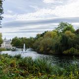 Photograph of St. James's Park.