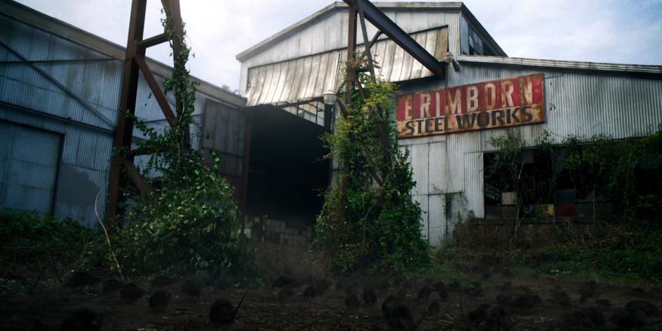 Rats swarm towards the entrance of the factory.