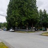 Photograph of Spring Street & Elgin Street.