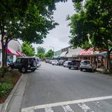 Photograph of Wellington Avenue (between Main & Young).