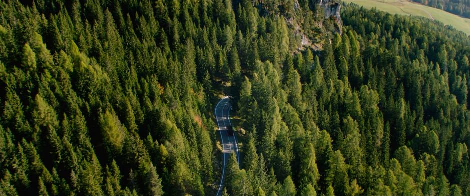 The tour bus drives down a winding hillside road through the trees.