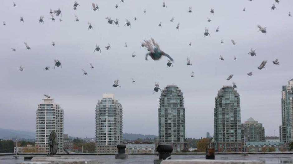 A swarm of shadows swoops towards the rooftop.