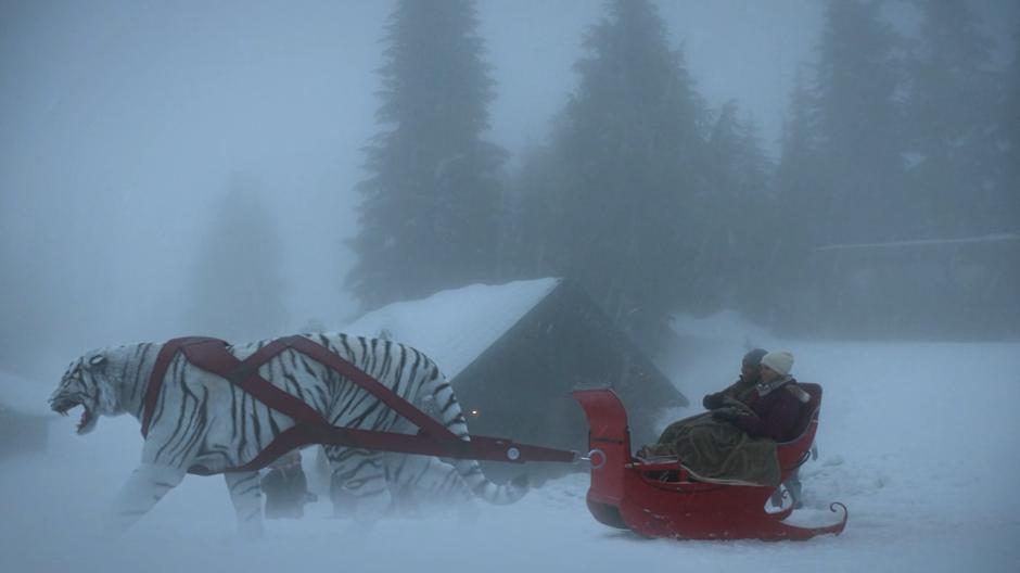 Who people are driven on a sleigh pulled by a giant white tiger.