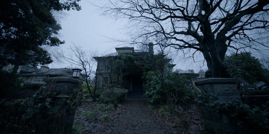 View of the exterior of the house overgrown with plants.